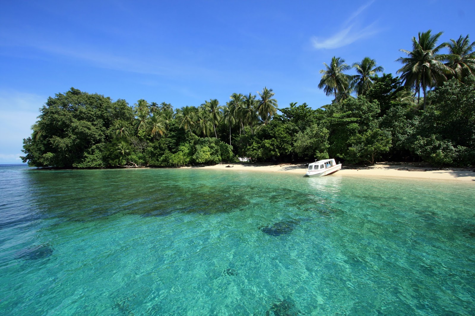 Nuansa Alam Banget di Pulau Biak – Traveler Indonesia