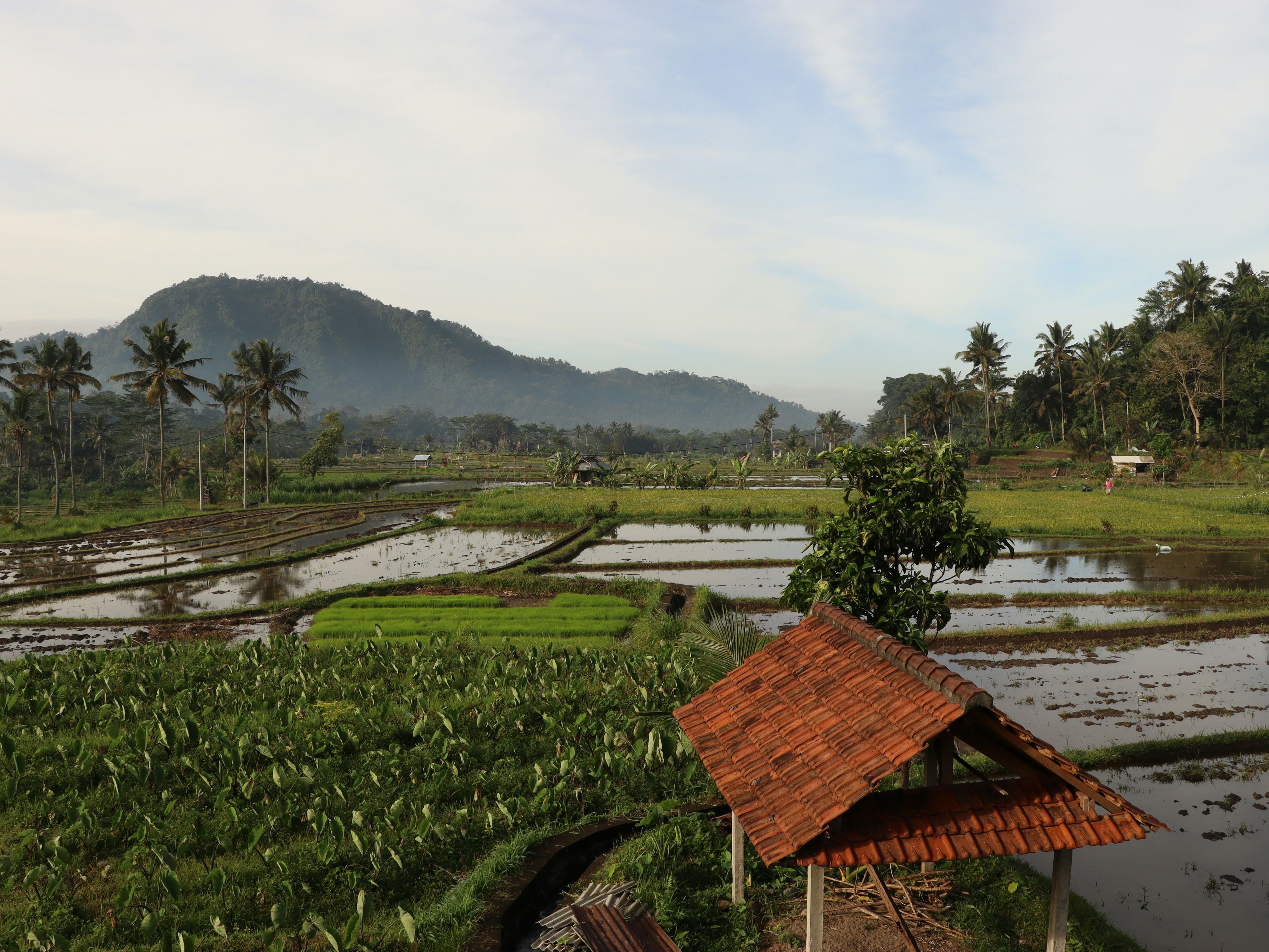 Dinas Lingkungan Hidup Provinsi Gorontalo