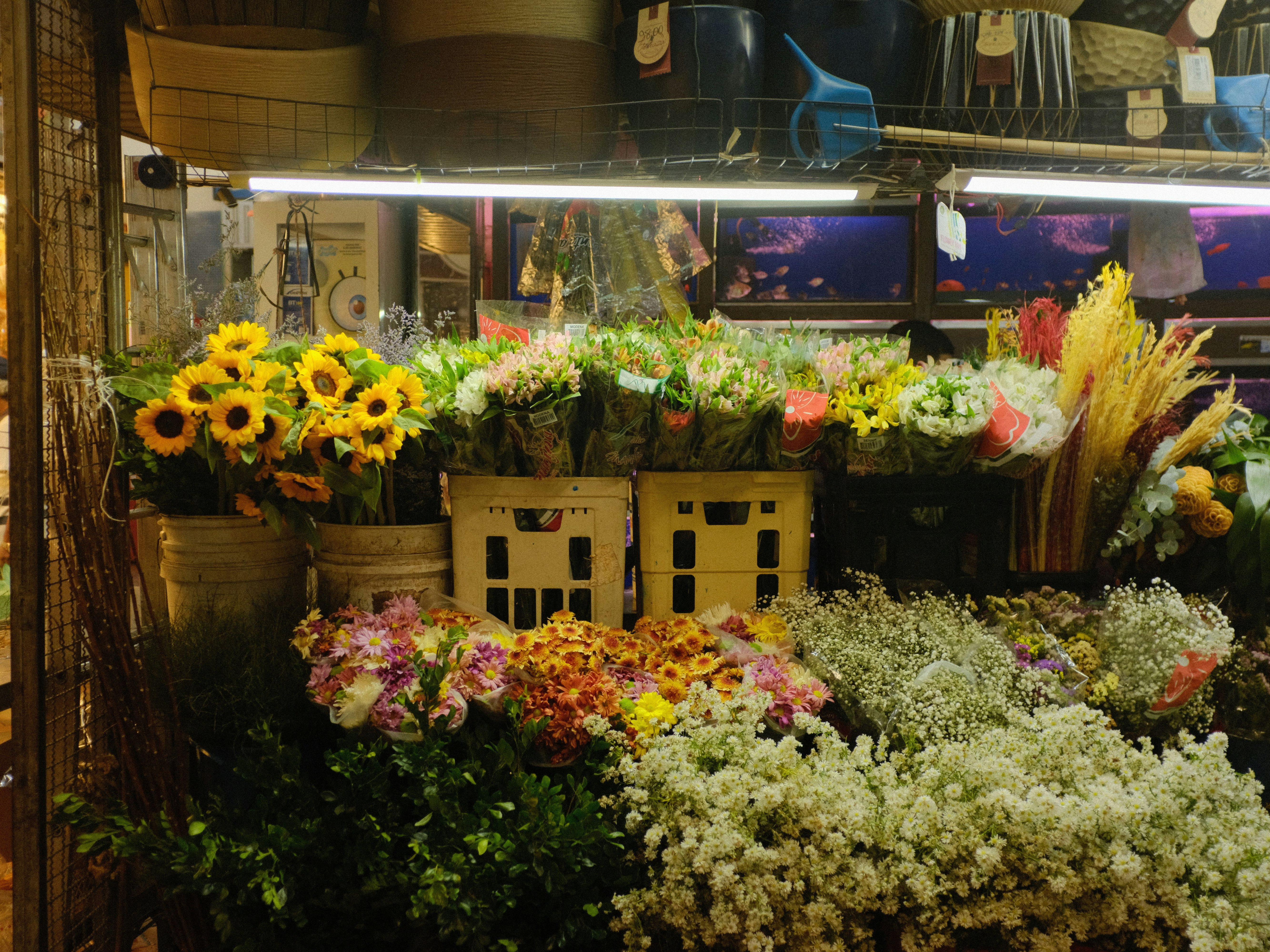 sentrabunga.com: Sentra Bunga Indonesia