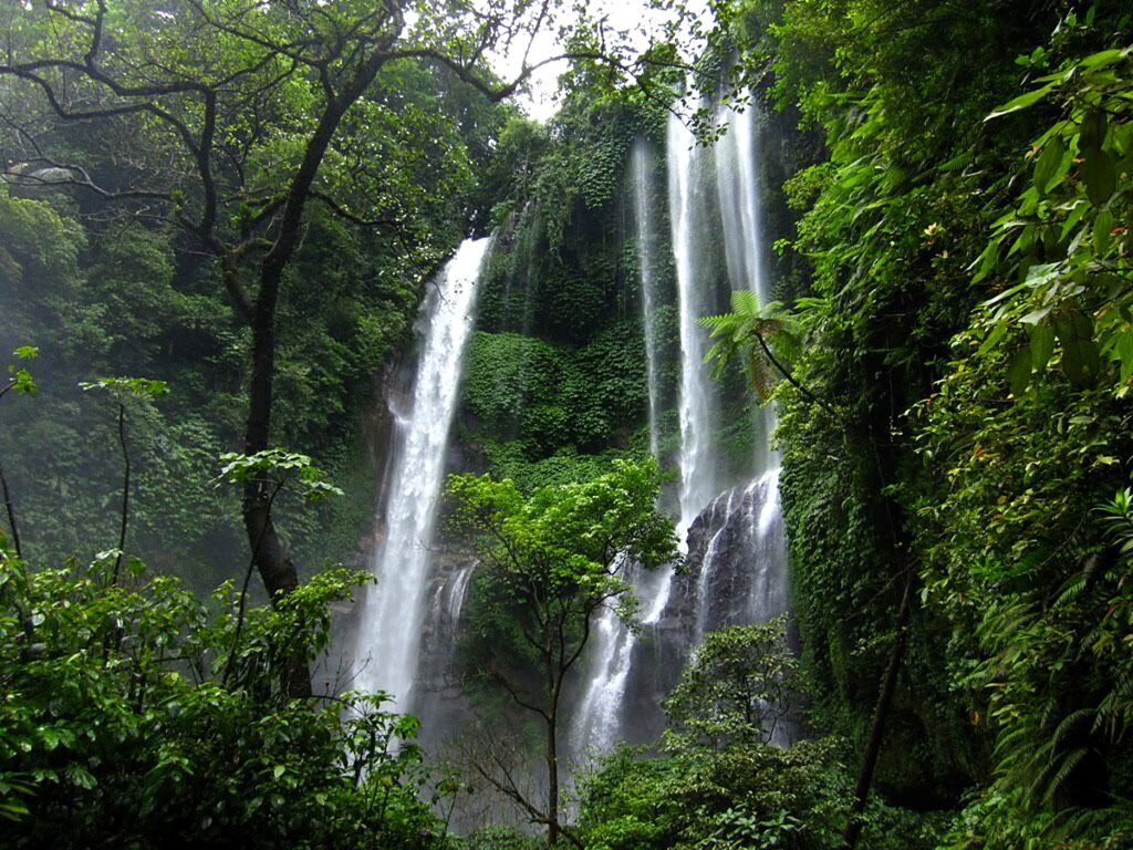 Air Terjun Blemantung di Desa Pujungan, Kecamatan Pupuan, Tabanan, Bali