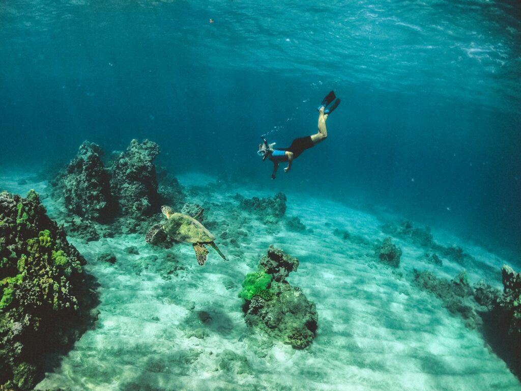Wisatawan snorkeling berenang di dekat penyu di perairan Gili Lombok
