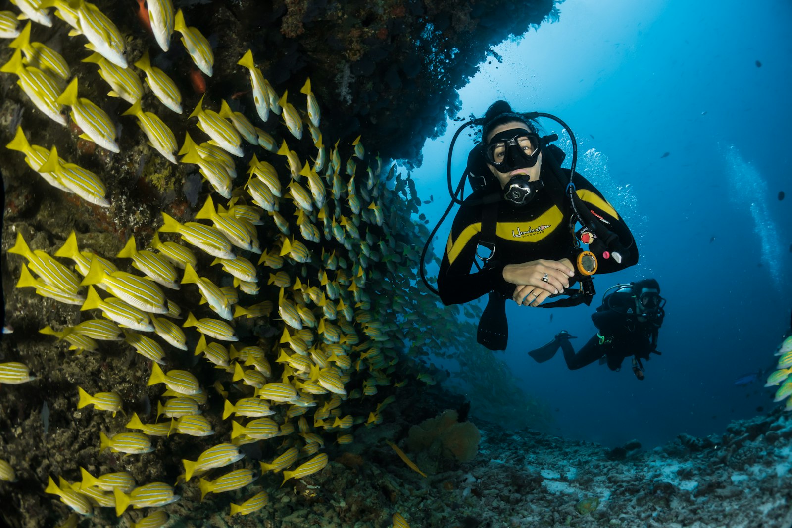 7 Spot Diving Terbaik di Raja Ampat untuk Semua Level Penyelam