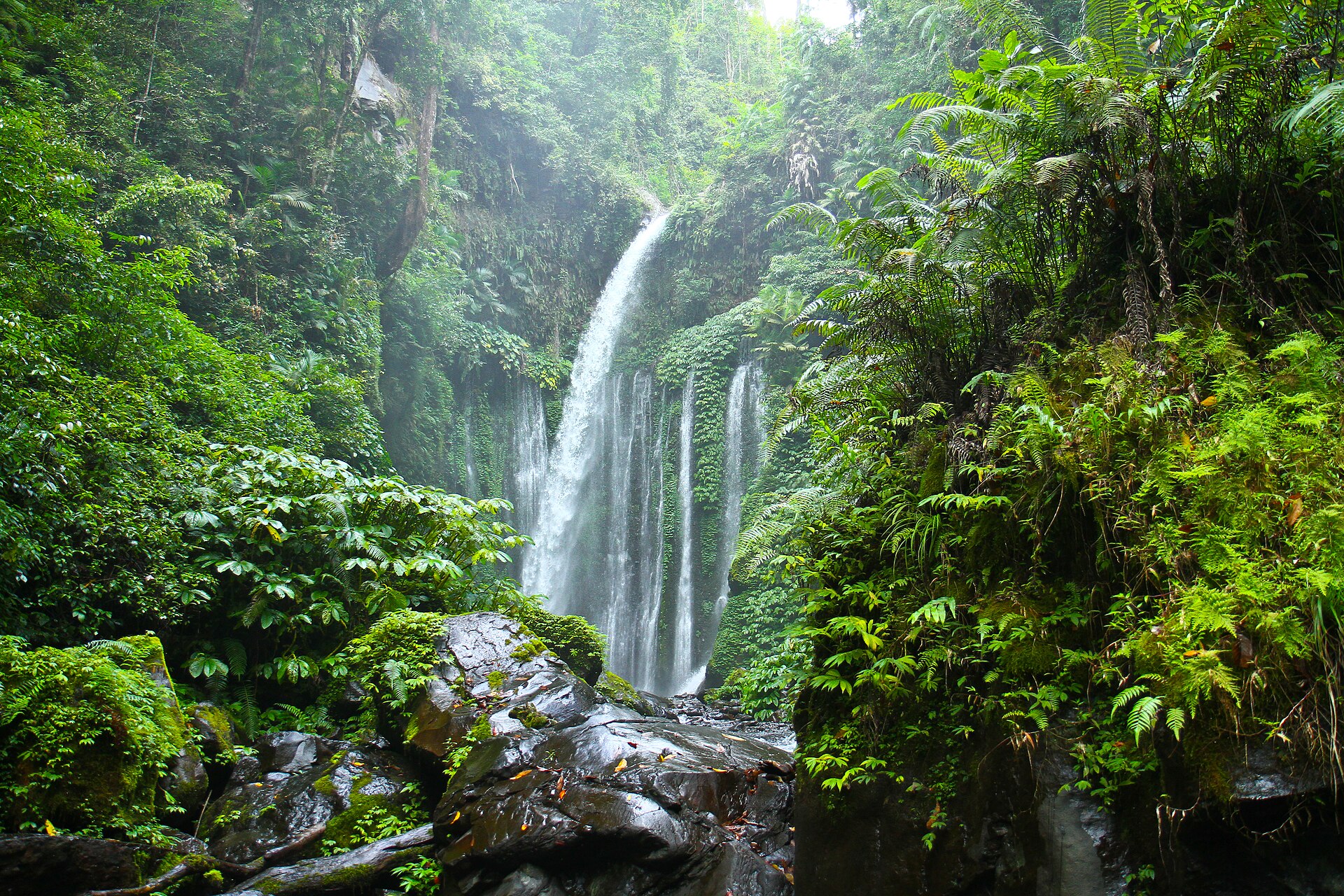 Air Terjun Terbaik di Lombok Utara: Sendang Gile, Tiu Kelep, dan Pesona Lainnya